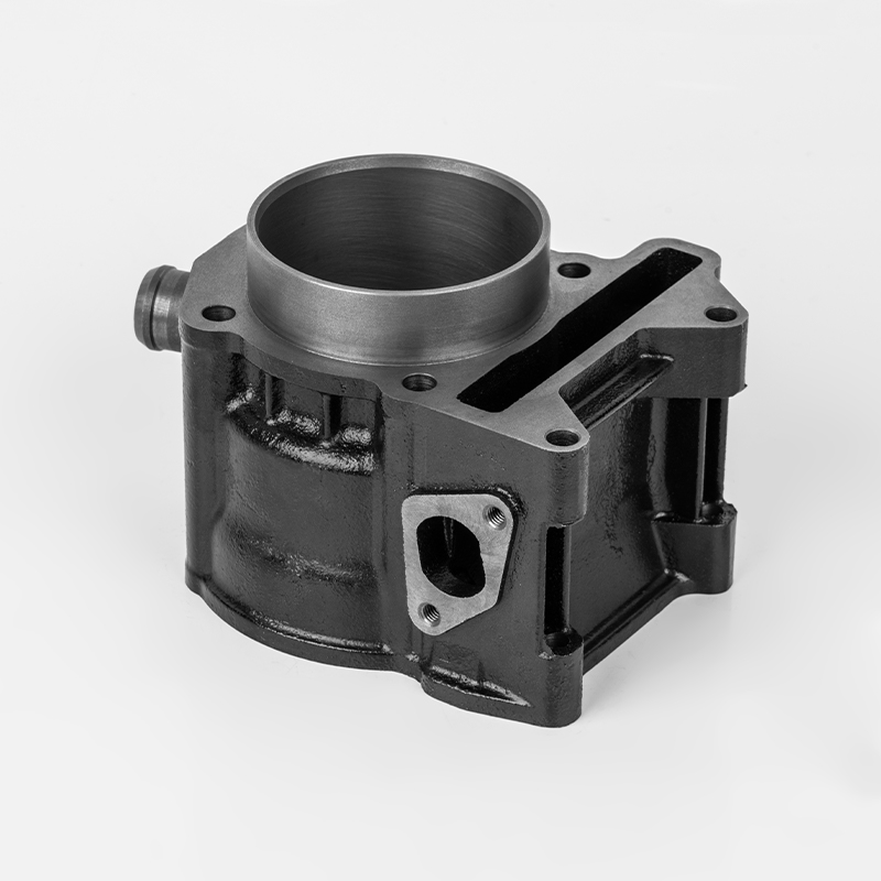 JN250/300(Φ72/75) 내구성이 뛰어난 주철 실린더